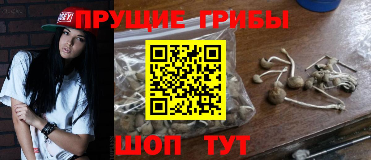 Галлюциногенные грибы GOLDEN TEACHER  цена   Кумертау  Вход с VPN 